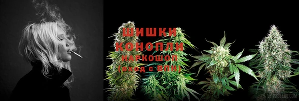 круглые Коряжма