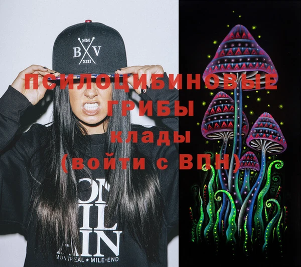 круглые Коряжма