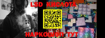 индика Славгород