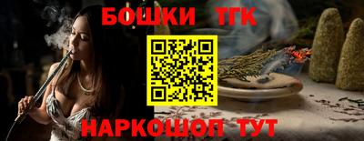 индика Славгород