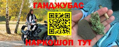 индика Славгород