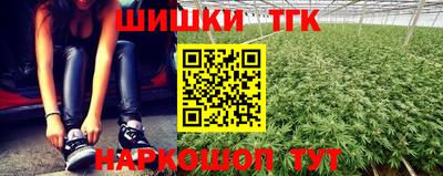 индика Славгород