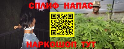 дурь Сланцы