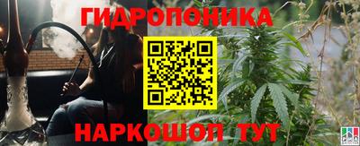 дурь Сланцы