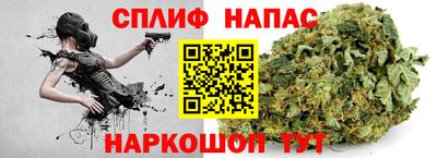 дурь Сланцы