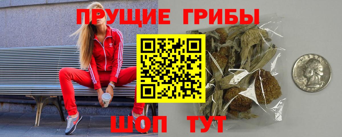 Псилоцибиновые грибы Psilocybine cubensis  Вход с VPN  Усть-Кут 